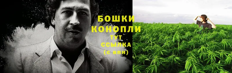 МЕГА как войти  Зверево  МАРИХУАНА SATIVA & INDICA 